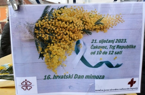 Dan mimoza 2023